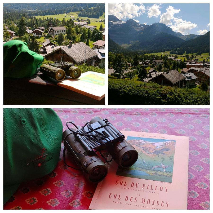 Studio Avec Vue Splendide Sur Les Diablerets Eksteriør billede