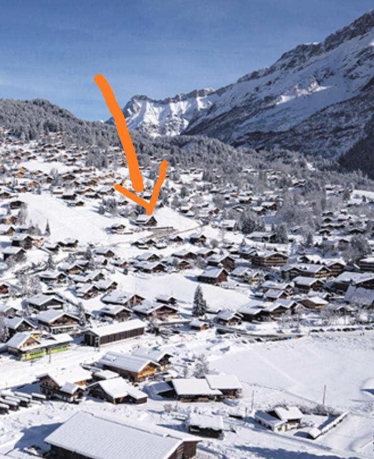 Studio Avec Vue Splendide Sur Les Diablerets Eksteriør billede