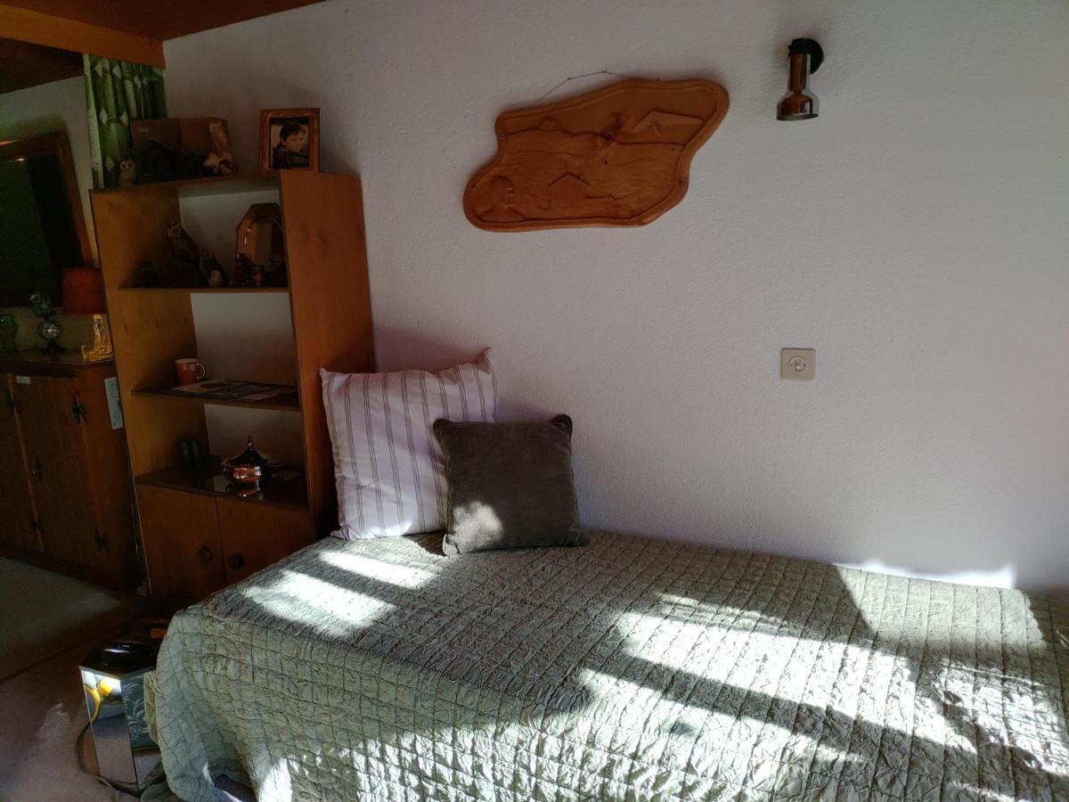Studio Avec Vue Splendide Sur Les Diablerets Eksteriør billede