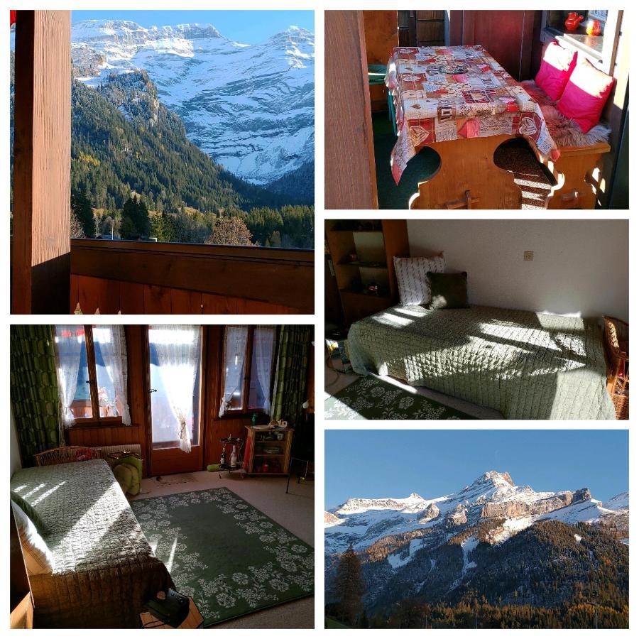 Studio Avec Vue Splendide Sur Les Diablerets Eksteriør billede