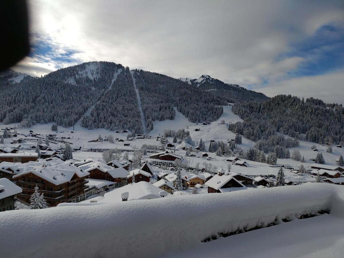 Studio Avec Vue Splendide Sur Les Diablerets Eksteriør billede