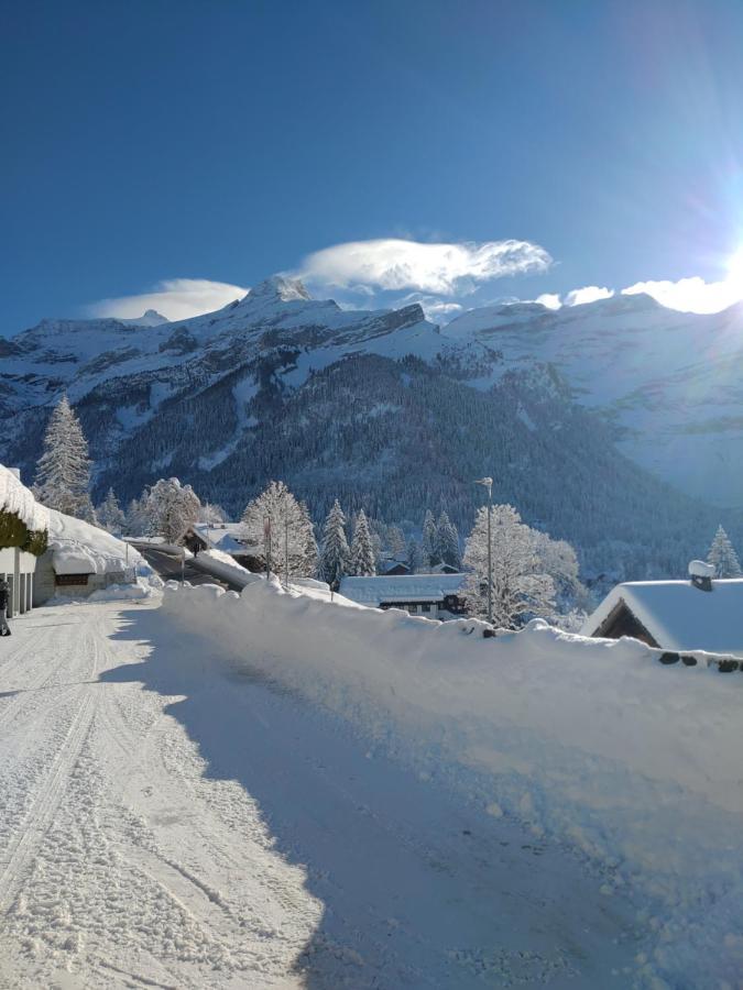 Studio Avec Vue Splendide Sur Les Diablerets Eksteriør billede