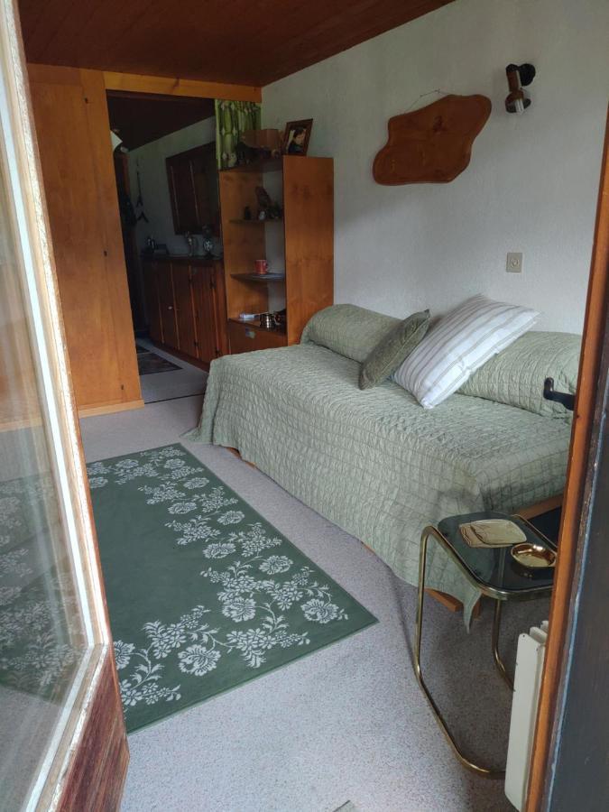 Studio Avec Vue Splendide Sur Les Diablerets Eksteriør billede