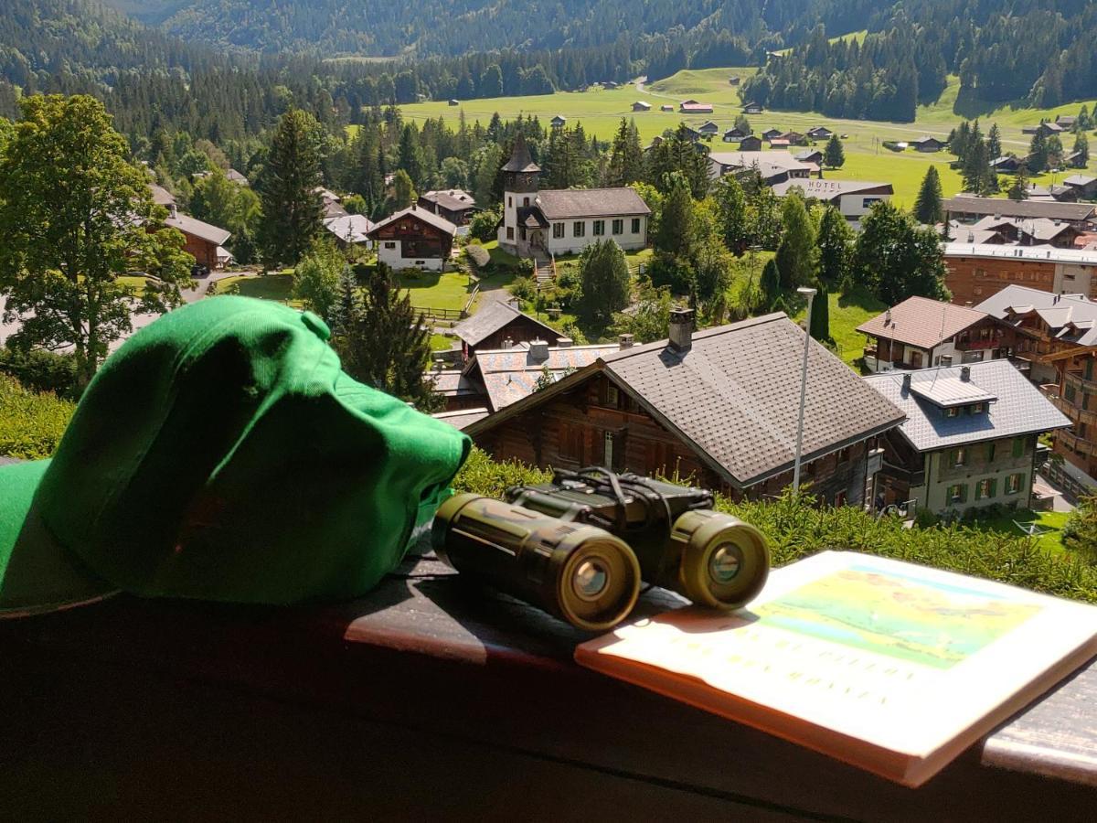 Studio Avec Vue Splendide Sur Les Diablerets Eksteriør billede