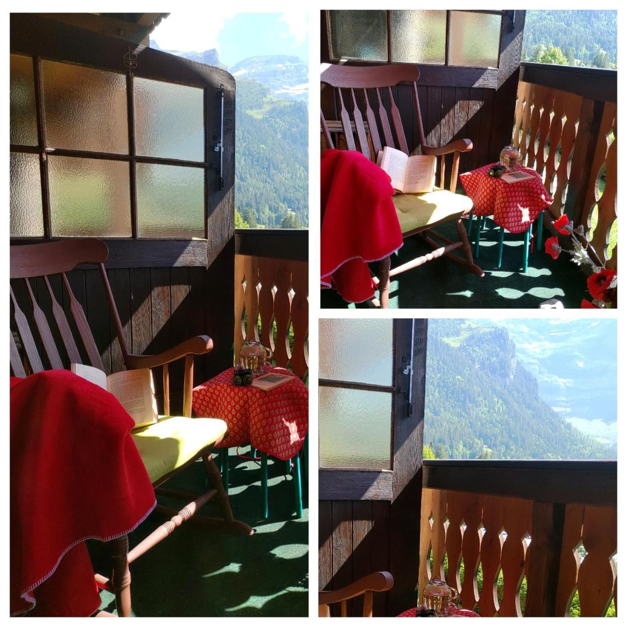 Studio Avec Vue Splendide Sur Les Diablerets Eksteriør billede